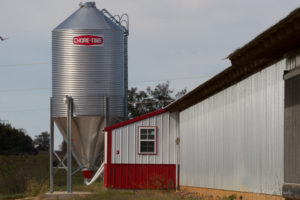 Poultry Farms